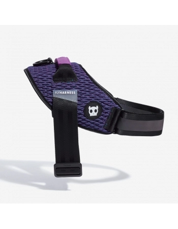 FLY HARNESS WICKED 2