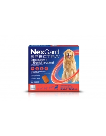 NEXGARD SPECTRA 800G X1 BR